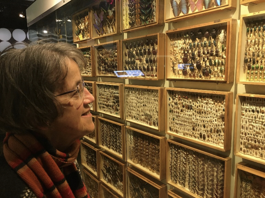 Libby Robin examining the record of biodiversity in her local museum